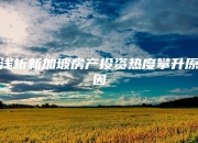 NG体育-关于赛地聚焦——欧联赛后热度飙升，不来梅止住颓势，震撼外界，年轻球员获得机会的信息